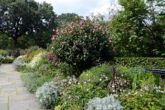 35I Flowers In South Conservatory English Garden In Central Park East 104 St